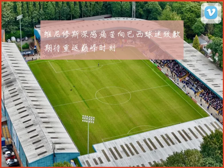 维尼修斯深感痛苦向巴西球迷致歉期待重返巅峰时刻
