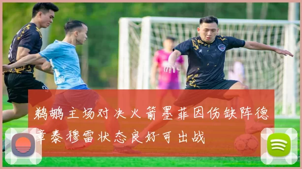 鹈鹕主场对决火箭墨菲因伤缺阵德章泰穆雷状态良好可出战