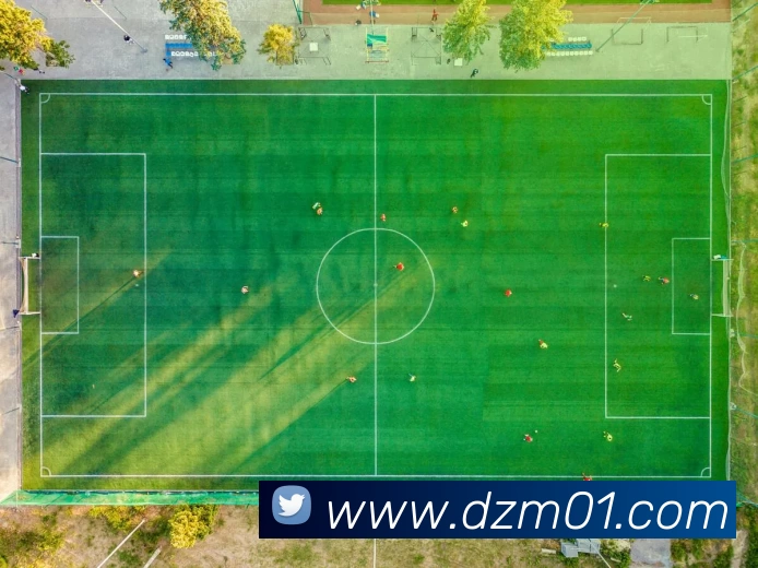 对战数据统计